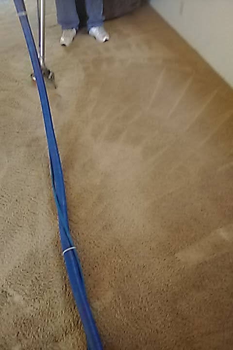 Carpet with a cleaned strip beside carpet not yet cleaned