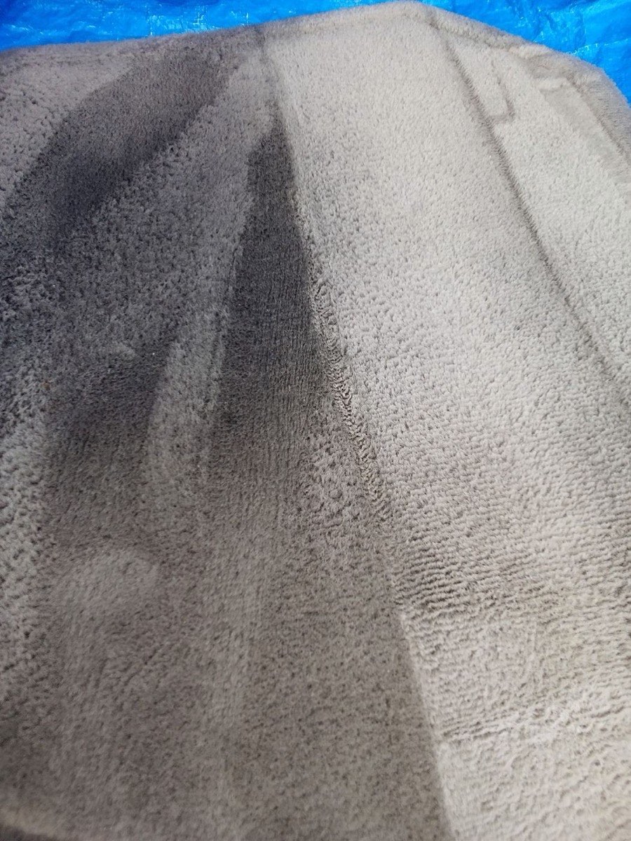 Gray carpet with a cleaned strip down the center