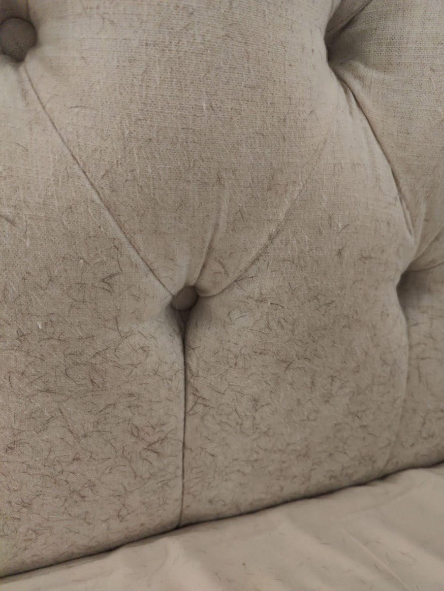 A gray tufted sofa back covered in pet hair and dirt