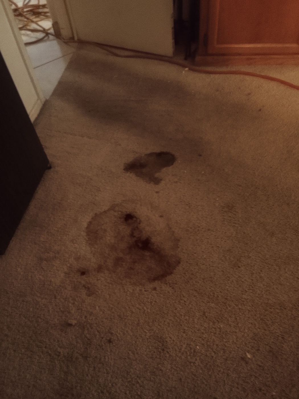 Carpet with dark stains near a doorway