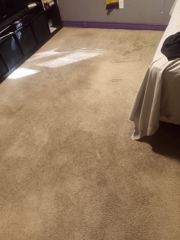 Clean tan bedroom carpet